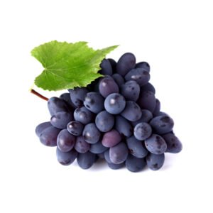 Cras neque furniture